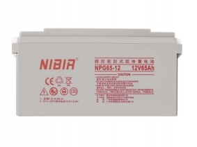 NPG65-12